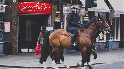 Is horseback riding legal in the city? Maybe